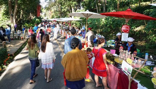 6 reasons to visit Doi Tung in Chiang Rai between December and January