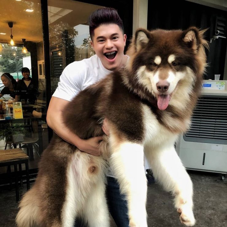 9 cuddly reasons to visit Big Dog Cafe Bangkok Meet rare