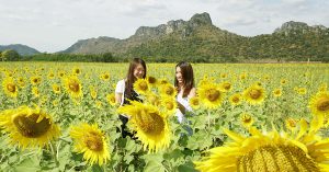 10 Tips for all travellers dreaming of going to Khao Yai!
